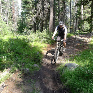 Meet your Posher, Scott